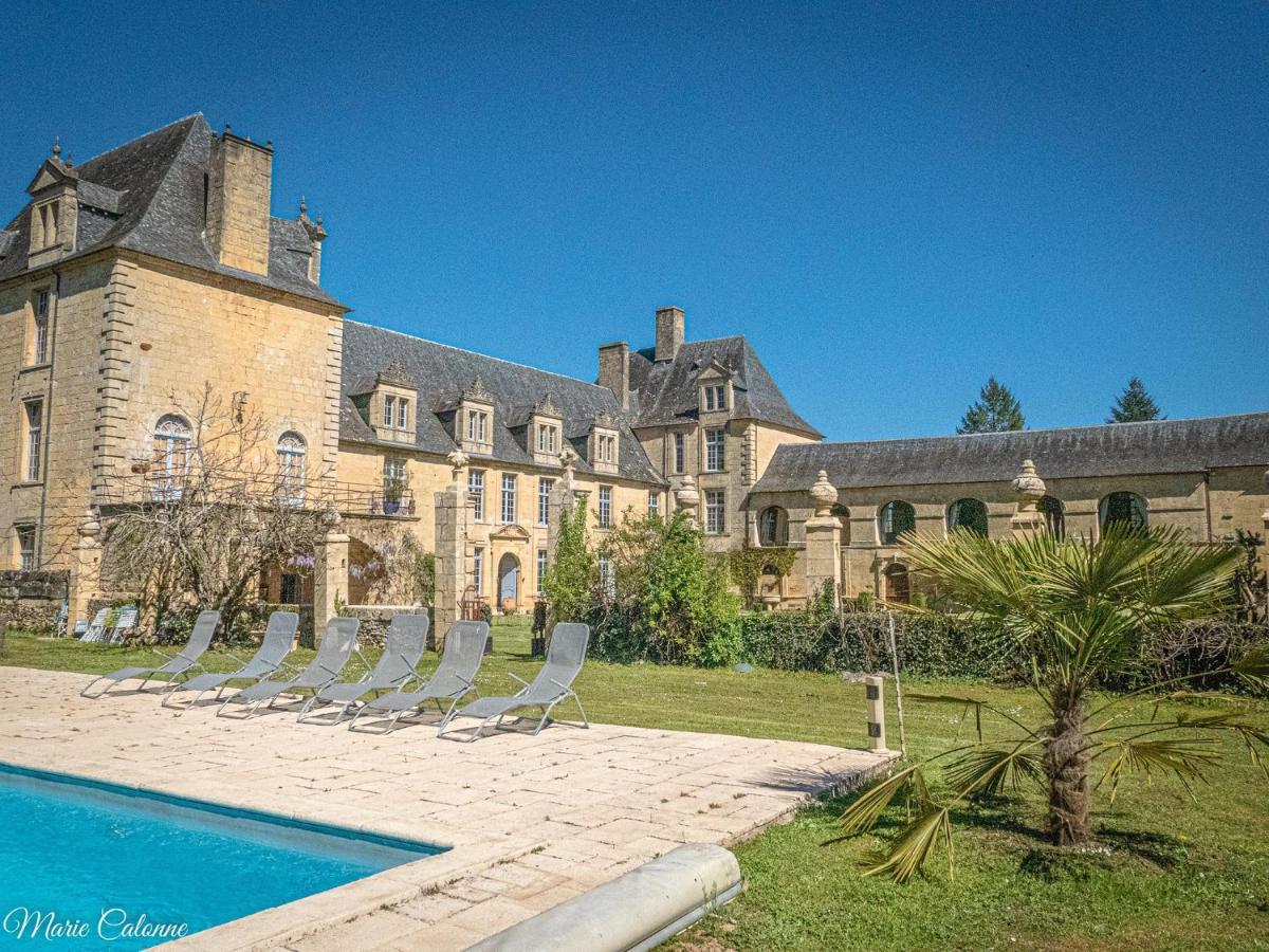Château de Sauveboeuf Aubas Extérieur photo