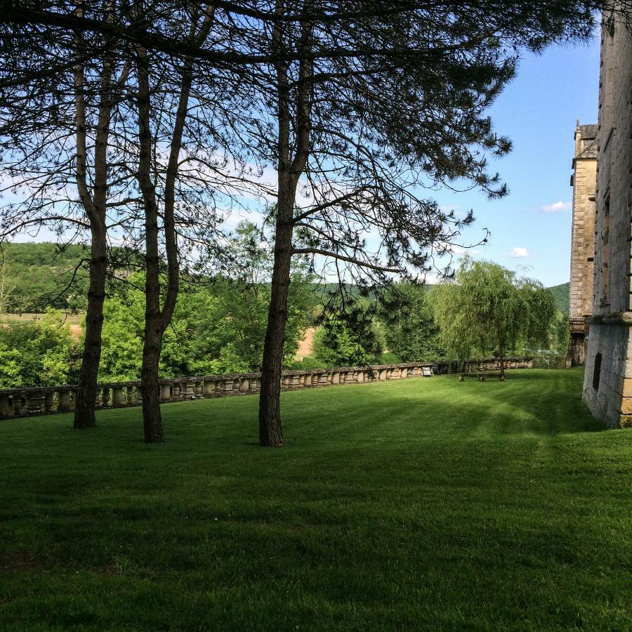 Château de Sauveboeuf Aubas Extérieur photo