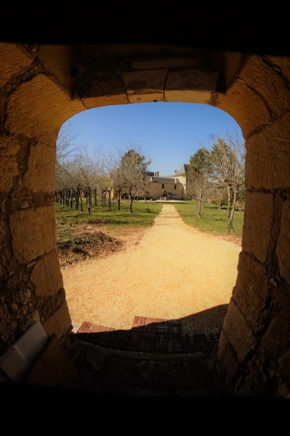 Château de Sauveboeuf Aubas Extérieur photo