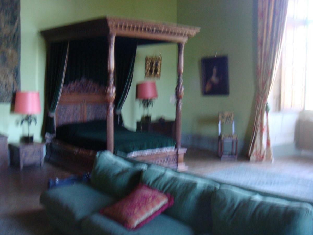 Château de Sauveboeuf Aubas Extérieur photo